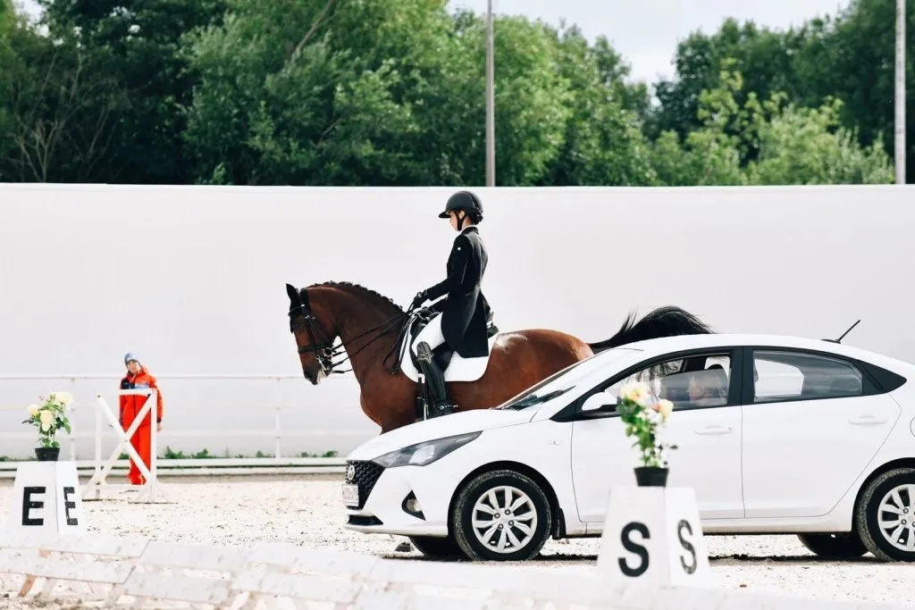 конно-спортивный клуб Лахта