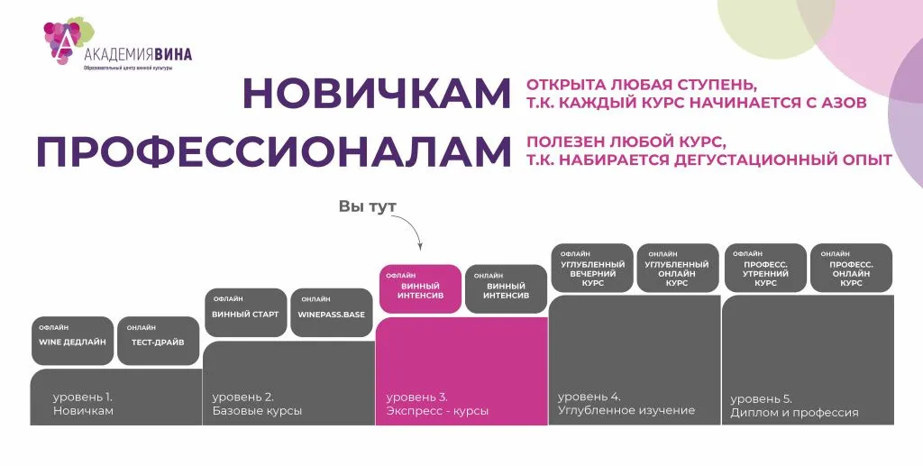 3_Винный интенсив_очный курс