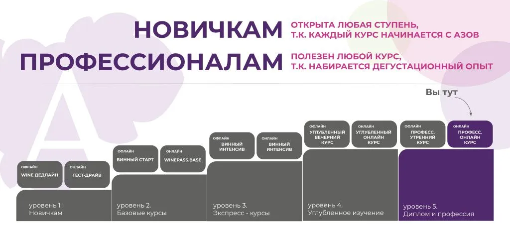 5_профессиональный онлайн-курс 5_профессиональный онлайн-курс