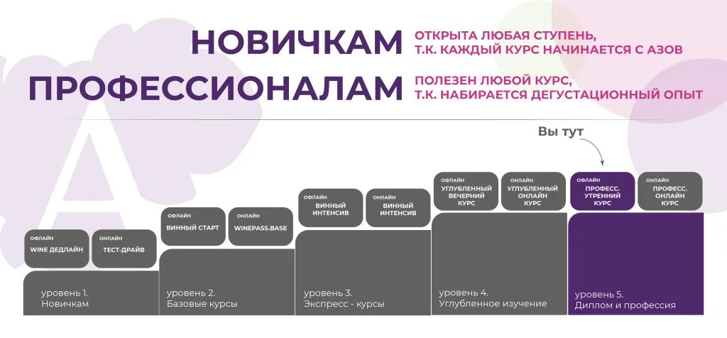 5_Утренний профессиональный курс