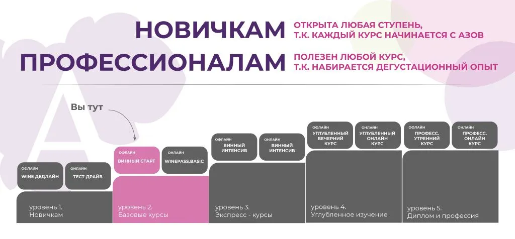 2_Винный старт