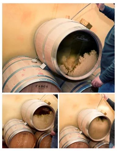 Баттонаж и выдержка на осадке Баттонаж и выдержка на осадке