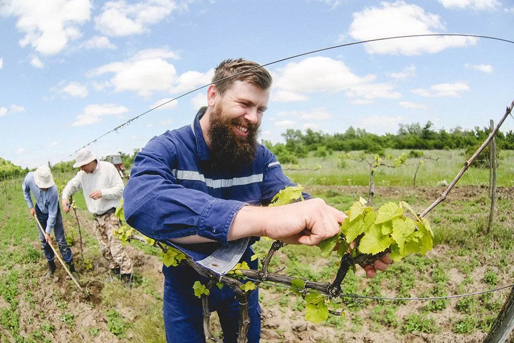 Алексей Сердюк