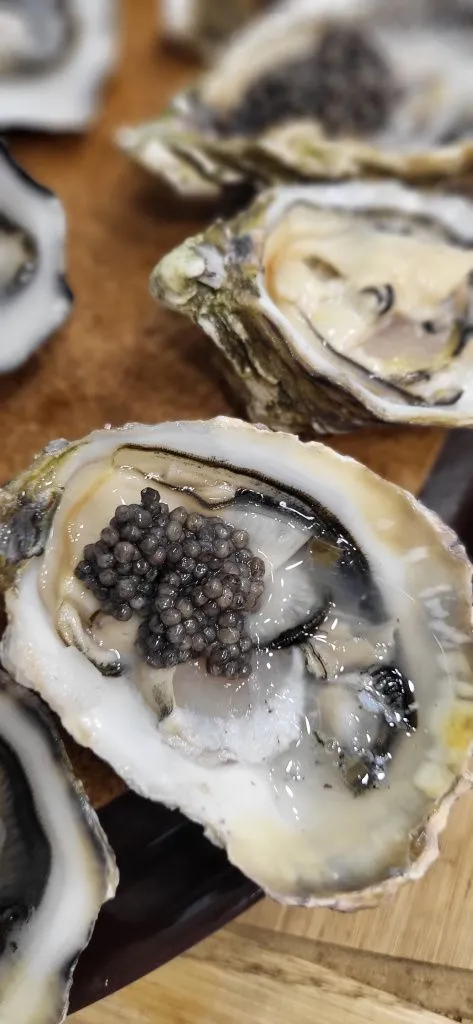 устрицы (2).jpg