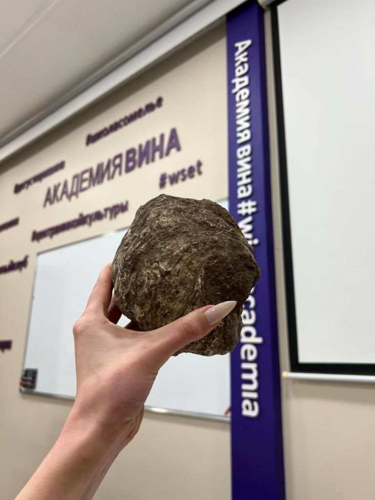 образец почвы